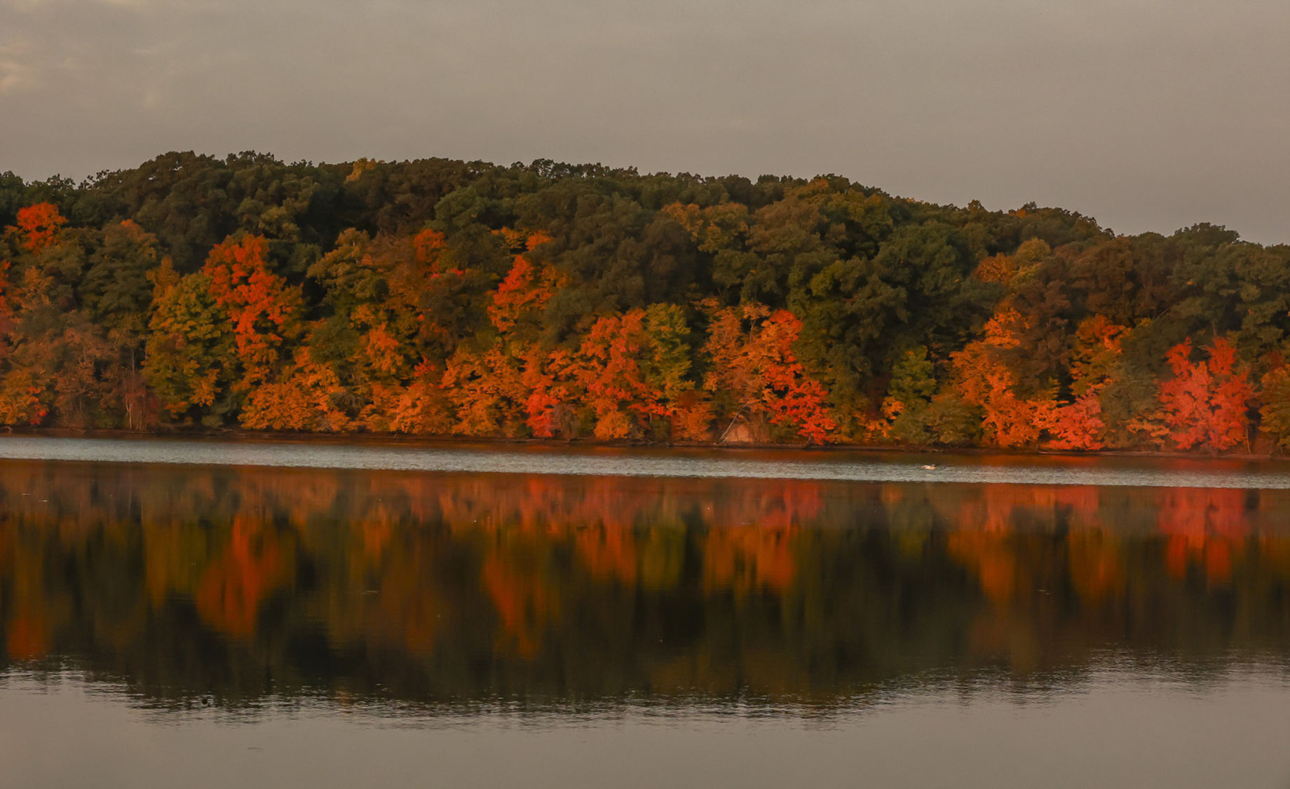 Fall around Lake Decatur 25 10.23.20.JPG